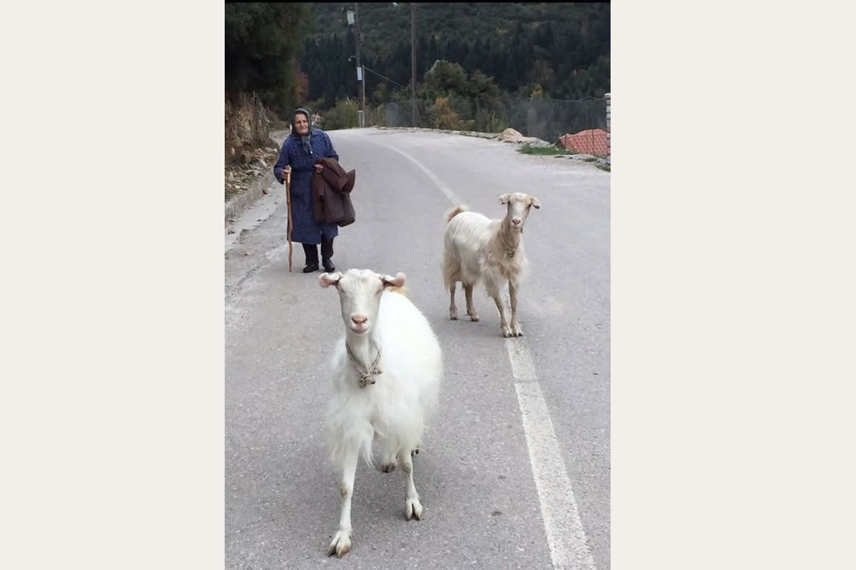 Découvrez la Crète avec Eye Travel Excursions jeep safari dans les montagnes